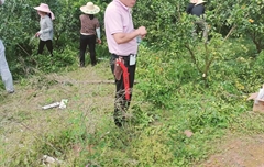 愛(ài)麗斯工具助力果園修剪培訓(xùn)